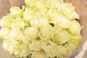 white roses