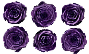 Medium: Purple Metallic  Rosas Preservadas * 6 cabezas de rosas