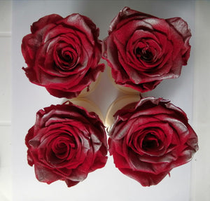 Medium: Christmas Collection 2 * 6 cabezas de rosas