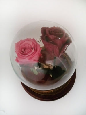 URNA DE CRISTAL  L CON DOS HERMOSAS ROSAS PRESERVADAS PINK AND RED BRIGHT