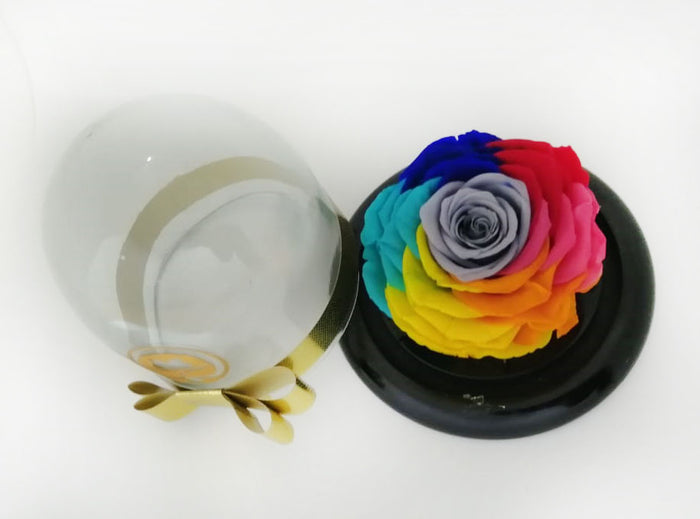 URNA DE CRISTAL SMALL CON UNA HERMOSA ROSA PRESERVADA RAINBOW 2