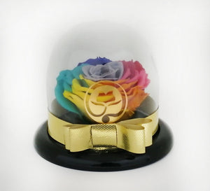 URNA DE CRISTAL SMALL CON UNA HERMOSA ROSA PRESERVADA RAINBOW 2