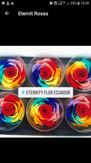 CURSO FLORISTERIA FLOR PRESERVADA