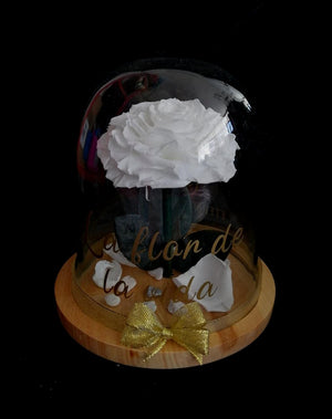 URNA DE CRISTAL L CON UNA HERMOSA ROSA PRESERVADA JUMBO PURE WHITE