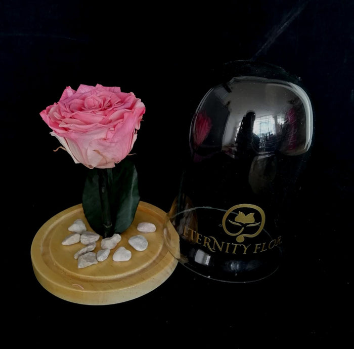 URNA DE CRISTAL M CON UNA HERMOSA ROSA PRESERVADA PINK