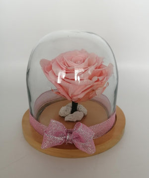 URNA DE CRISTAL SMALL EN BASE DE MADERA CON UNA ROSA PRESERVADA LIGHT PINK .