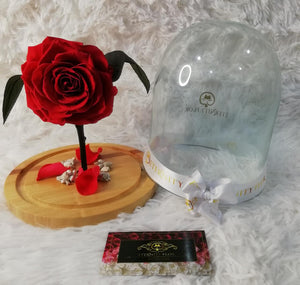 URNA DE CRISTAL L CON UNA HERMOSA ROSA PRESERVADA XL