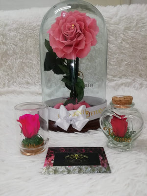 URNA DE CRISTAL XL CON UNA HERMOSA ROSA PRESERVADA PINK