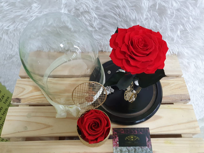 URNA DE CRISTAL L CON UNA HERMOSA ROSA PRESERVADA XL