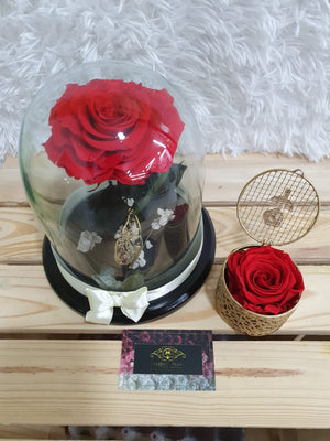 URNA DE CRISTAL L CON UNA HERMOSA ROSA PRESERVADA XL