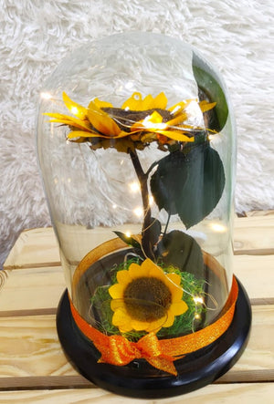 URNA DE CRISTAL XL ACOMPAÑADO DE DOS HERMOSOS GIRASOLES PRESERVADOS CON LUZ