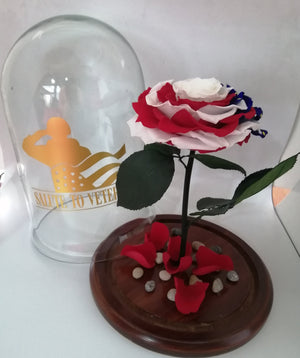 URNA DE CRISTAL XL CON UNA ELEGANTE BANDERA DE USA EN ROSA PRESERVADA JUMBO