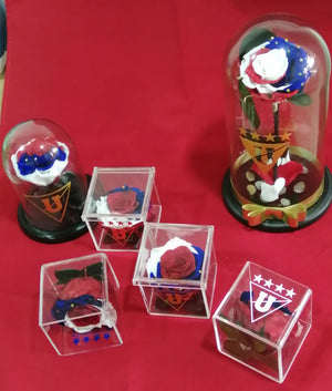 COLECCIÓN EQUIPOS DE FÚTBOL