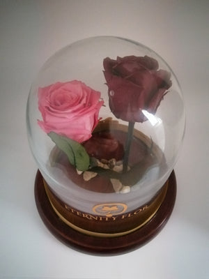 URNA DE CRISTAL  L CON DOS HERMOSAS ROSAS PRESERVADAS PINK AND RED BRIGHT