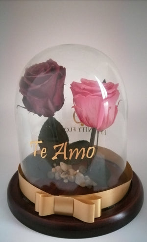 URNA DE CRISTAL  L CON DOS HERMOSAS ROSAS PRESERVADAS PINK AND RED BRIGHT