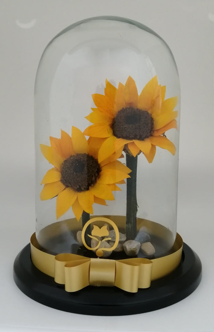 URNA DE CRISTAL XL ACOMPAÑADO DE DOS HERMOSOS GIRASOLES PRESERVADOS