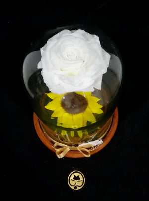 URNA DE CRISTAL XL CON UNA ELEGANTE COMBINACIÓN DE ROSA Y GIRASOL PRESERVADOS