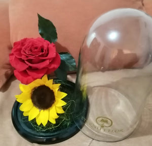 URNA DE CRISTAL XL CON UNA ELEGANTE COMBINACIÓN DE ROSA Y GIRASOL PRESERVADOS