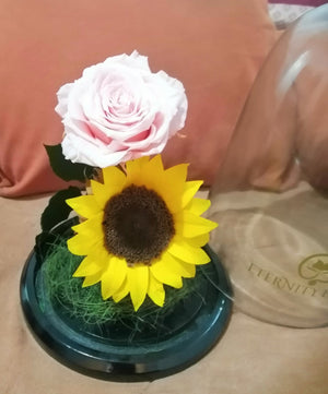 URNA DE CRISTAL XL CON UNA ELEGANTE COMBINACIÓN DE ROSA Y GIRASOL PRESERVADOS