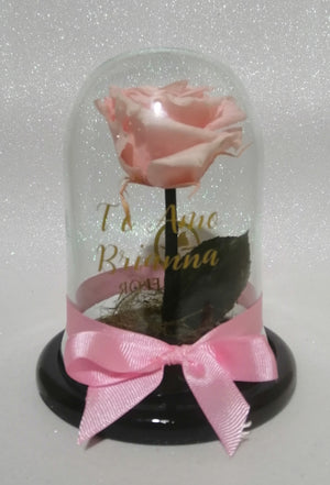 URNA DE CRISTAL M CON UNA HERMOSA ROSA PRESERVADA LIGHT PINK