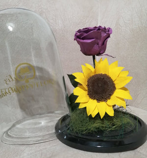 URNA DE CRISTAL XL CON UNA ELEGANTE COMBINACIÓN DE ROSA Y GIRASOL PRESERVADOS