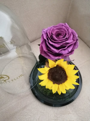 URNA DE CRISTAL XL CON UNA ELEGANTE COMBINACIÓN DE ROSA Y GIRASOL PRESERVADOS