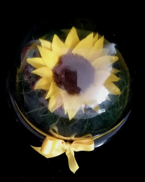 URNA DE CRISTAL PLANETARIA CON UN HERMOSO GIRASOL PRESERVADO M