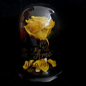 URNA DE CRISTAL M CON UNA HERMOSA ROSA PRESERVADA SUN YELLOW