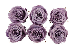 Medium: Lavender Rosas Preservadas  * 6 Cabezas de rosas