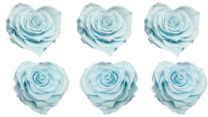 Corazón Large: Baby Blue Heart Rosas Preservada * 6 cabezas de rosas