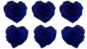 Corazón Large: Royal Blue Heart Rosas Preservada * 6 cabezas de rosas