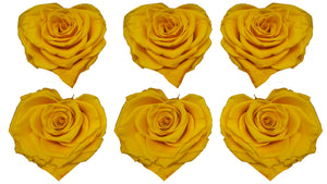 Corazón Large: Sun Yellow Heart Rosas Preservada * 6 cabezas de rosas