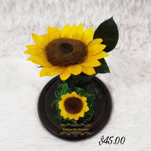 URNA DE CRISTAL XL CON DOS HERMOSOS GIRASOLES PRESERVADOS