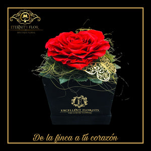 Colección Cajas Cuadradas Roses Preserved