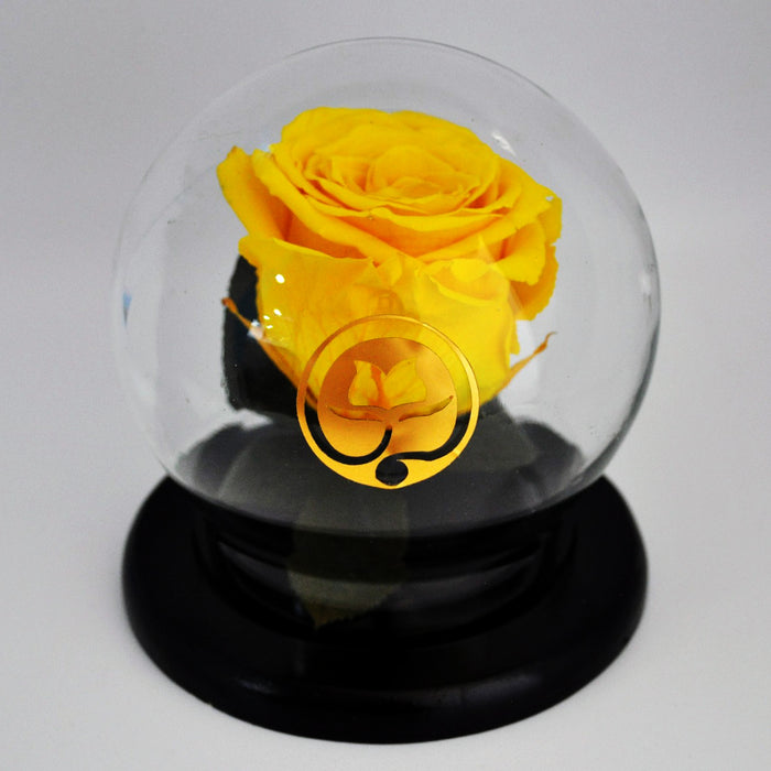 URNA DE CRISTAL BURBUJA  CON UNA HERMOSA ROSA PRESERVADA SUN YELLOW