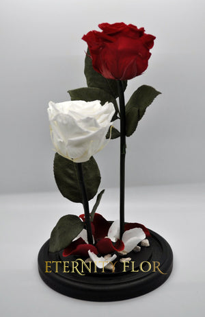 URNA DE CRISTAL XL CON DOS HERMOSAS ROSAS PRESERVADAS PURE WHITE AND RED BRIGHT PERSONALIZADAS