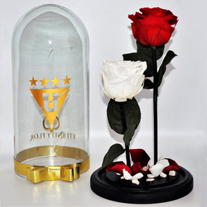 URNA DE CRISTAL XL CON DOS HERMOSAS ROSAS PRESERVADAS PURE WHITE AND RED BRIGHT PERSONALIZADAS