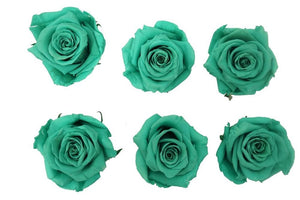 Medium: Sea Green Rosas Preservadas * 6 Cabezas de rosas