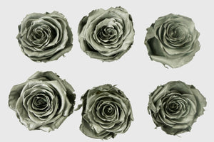 Medium: Silver Rosas Preservadas * 6 cabezas de rosas