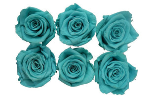 Medium: Tifanny  Rosas Preservadas  * 6 cabezas de rosas