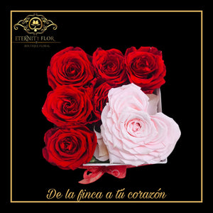 ROSAS ETERNAS ROJAS Y CORAZÓN ROSADO