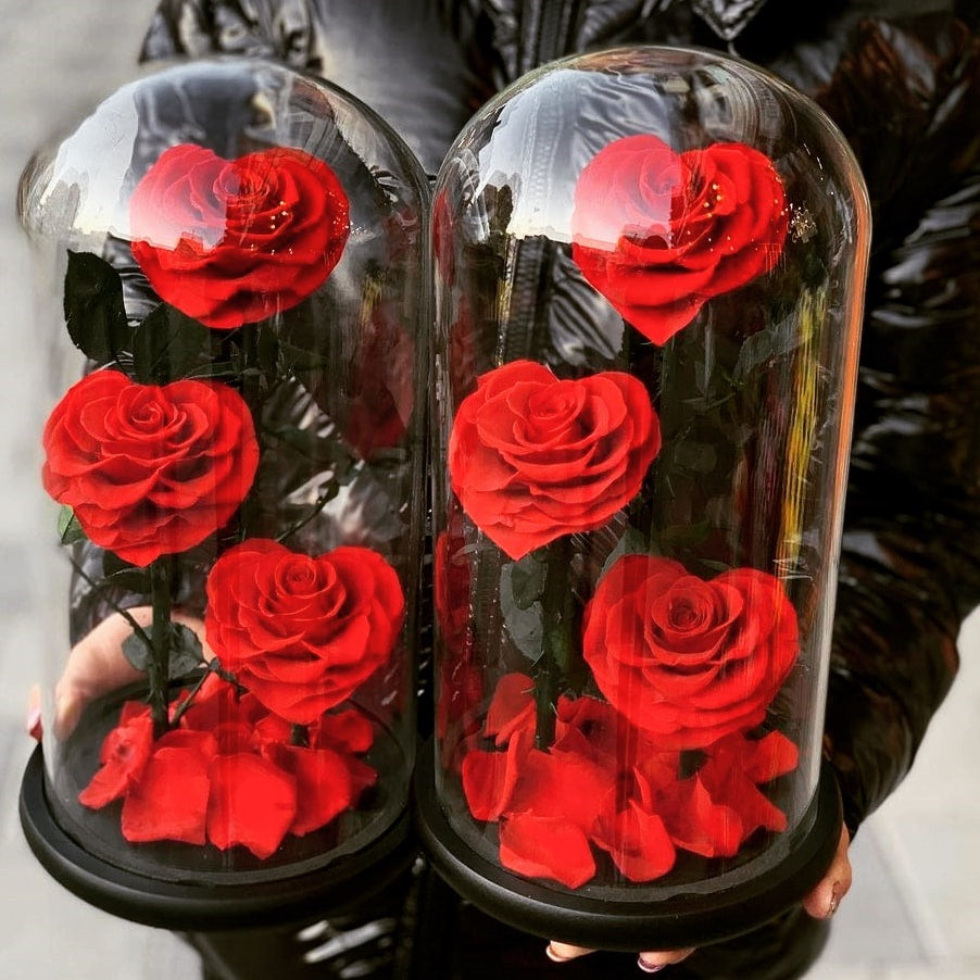 Rosas eternas, ramos de cristal para el día de San Valentín, rosas mágicas  preservadas para siempre, hechas de hermosas rosas, 3 rosas, tres vidas