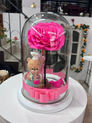 OSITO COCINERO EN URNA DE CRISTAL L CON UNA HERMOSA ROSA PINK PRESERVADA