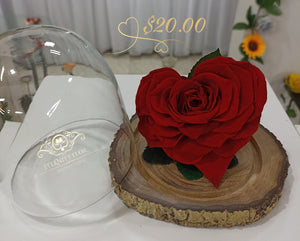 URNA DE CRISTAL BURBUJA CON UNA HERMOSA ROSA CORAZON PRESERVADA