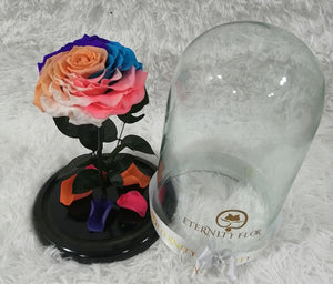 URNA DE CRISTAL XL CON UNA HERMOSA ROSA PRESERVADA RAINBOW JUMBO