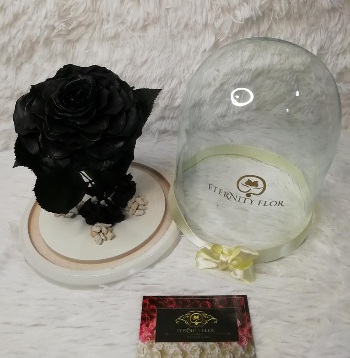 URNA DE CRISTAL L CON UNA HERMOSA ROSA PRESERVADA JUMBO BLACK NIGHT METALLIC