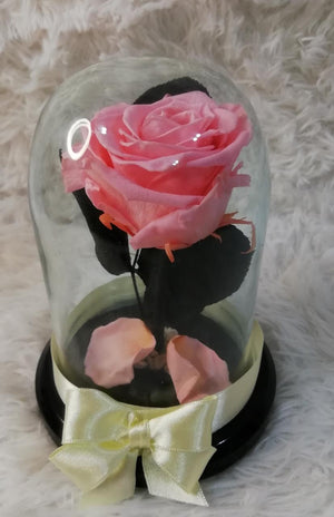 URNA DE CRISTAL M CON UNA HERMOSA ROSA PRESERVADA LIGHT PINK