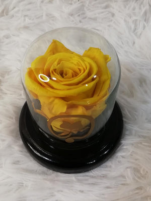 URNA DE CRISTAL XS CON UNA HERMOSA MINI ROSA SUN YELLOW PRESERVADA