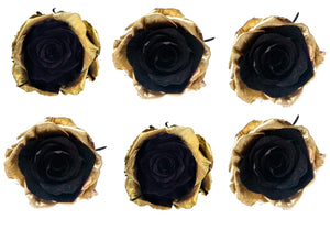 Medium: Bicolor Gold and Black  Rosas Preservada * 6 cabezas de rosas