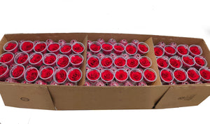 Bulk: Bright Red Rosas Preservadas  * 327 Cabezas de rosas